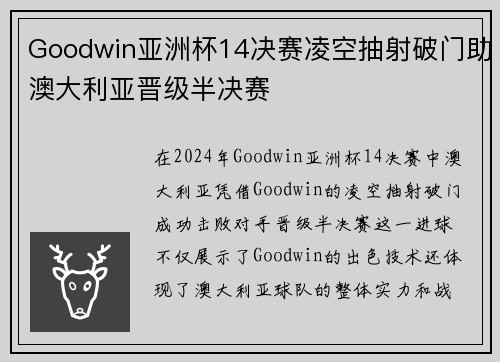 Goodwin亚洲杯14决赛凌空抽射破门助澳大利亚晋级半决赛